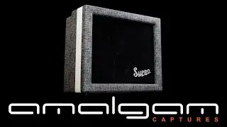Led Zeppelin - Black Dog / ToneX AMP+CAB Captures of a 1958 Supro 1624T Dual Tone by amalgam audio