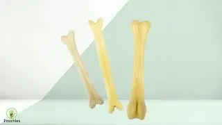 Dog Nylon Bone Chew Toy
