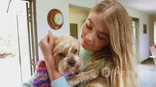 Legally Blonde in 5 Minutes: Fast-Paced YouTube Recap