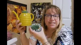 A New Crafting Idea | Seaglass Succulent Planters