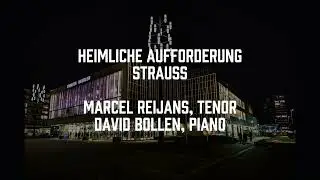 Strauss 