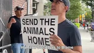 Tensions Mount over Animal Warehousing at Humane Society of New York