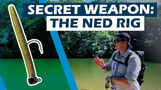 [US ISHING] Раскройте секрет оснастки Ned Rig: ваше секретное оружие для ловли крупного окуня!