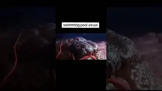 Swimming pool viruses #swimmingpool #awareness