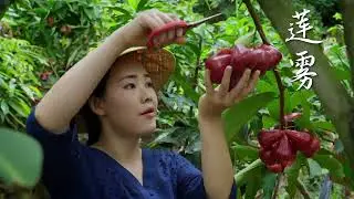 🌸Chinesas Colhendo Frutas Ex&oacute;ticas 🍓🍇🍑 Uma Explos&atilde;o de Cores e Sabores!✨ #Colheita #Natureza #China