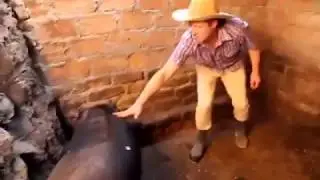 HUMOR DEL BUENO AL ESTILO LOJANO-ECUADOR