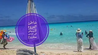 شاطئ المروه الاوبيض في مرسي مطروح واسعار المعصره زيت زيتون ٢٠٢٤ وماتنسوش الاشتراك وتفعيل الجرس