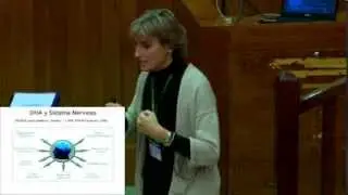 4. DHA y Sistema Nervioso