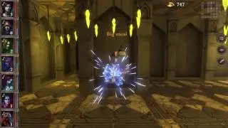 7 Mages / Top floor in Skeldal tower