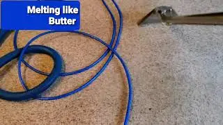 First time using a professional carpet cleaning company .