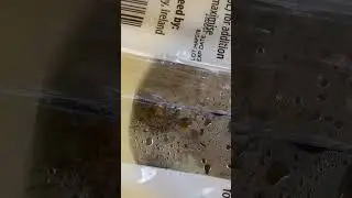 Snowstorm in our area and my honeybees are doing great  🍯🐝￼