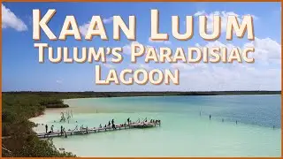 Tulum's Paradisiac Blue Hole 🌊 Kaan Luum Lagoon 🌴 Travel & Adventure in Mexico's Yucat&aacute;n Peninsula