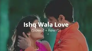 Ishq Vala Love – Slowed + Reverb | Hindi Lofi Love Song | SolVibeX