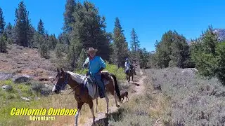 Hope Valley Ca 2021
