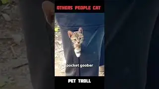Thief Cat #shorys #shorts #trending #trolledit #ytshorts #usa