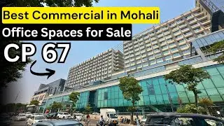CP 67 Mohali | Commercial Property in Mohali | Office Space For Sale & Lease