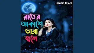 রাতের আকাশে তারা জ্বলে