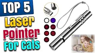 Best Laser Pointer for Cats and Dogs to Play Rechargeable Battery Operated Automatic
