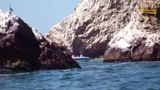 Ilhas Ballestas, Per&uacute;