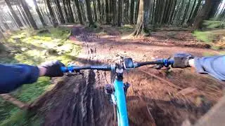 Macclesfield Forest DH - Left/Roots Line - 22nd Nov 2020