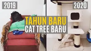 Rumah Pohon Kucing | Cat Tree
