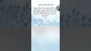 Interesting Urdu fact #islamicstatus #islamicvideo #viralvideo #viralshort #quotes #ytshorts #shorts