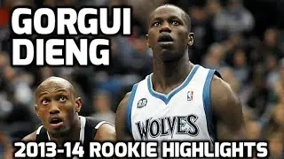 Gorgui Dieng 2013-14 NBA Rookie Highlights (HD)