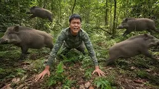 45 Days Solo Survival: Constant Food Search, Trap Building & Confronting Wild Species Alone