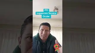 Inspecci&oacute;n T&eacute;cnica Ocular ITO Bolivia