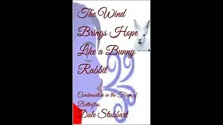 The Wind Brings Hope Like a Bunny Rabbit: Condensation in the Form of Butterflies