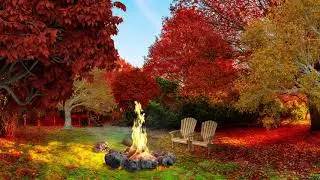 Autumn Backyard Ambience   Bonfire And Light Wind Sounds 1 Hour for Relaxation and Rest