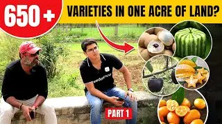 Farm Land Exploration | 650+ Varieties in One Acre of Land | Part -1