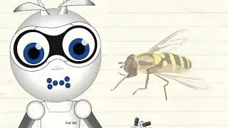 Lesson 13 - Save the Bees