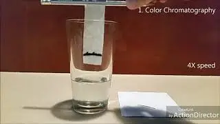GolScience || Walking Water and Colour Chromatography