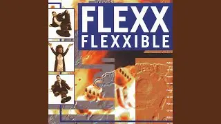 Flexxible (7