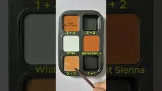 Create 4 colors from 2 colors. #colormixing #asmr #mix #colors #mixing #white #brown