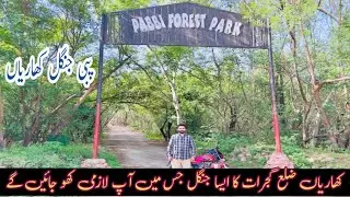 Pabbi Forest Park | Pabbi National Park Kharian  Gujrat Pakistan | Pabbi Kharian