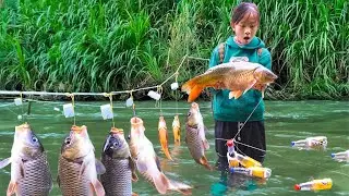 Harvesting Giant Stream Fish | Simple & Effective Plastic Bottle Fishing Method 🐟🌿