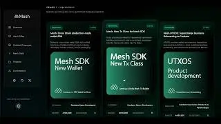 Mesh: Catalyst Fund 14 Proposals