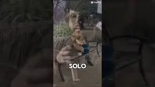 Te amo y si t&uacute; eres feliz, yo lo ser&eacute; al costo de este dolor 😭💔#viral