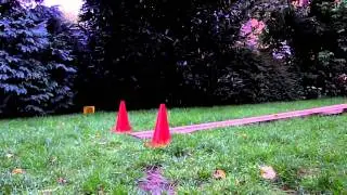 SDC10916