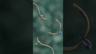 Live wallpaper - Jellyring run & jump 02 #livewallpaper #3danimation #relaxing #jelly #jellyring