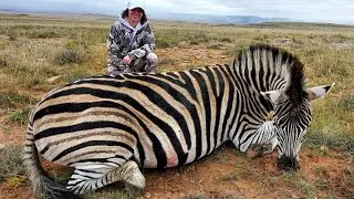 ZEBRA, WHITE BLESBOK, NYALA STALK HUNTING SOUTH AFRICA EP10