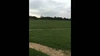 Bull-X Training. Slipping Lace on a bolting rabbit.