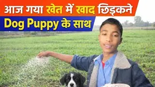 Puppy ke sath masti @souravjvlogs @shivam-vlog-909 @Street_Dog_Pluto 
