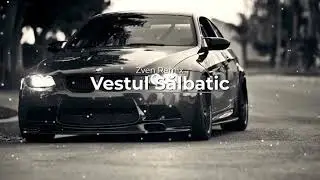 Puya - Vestul Salbatic | Zven Remix