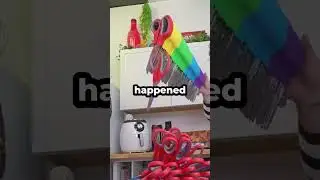 Моя девушка крикнула: 