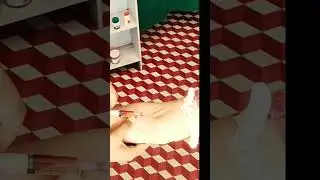 IV Injections ko kaise lagaye ||IV Injections Ko Lagane Ka Tarika #ivinjection #Intravenousinjection