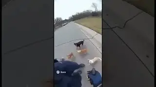 Most dangerous Mexican Gang vs Police Officer