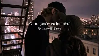 The Candy Lounge - You're Beautiful [和訳] 君が綺麗すぎるから